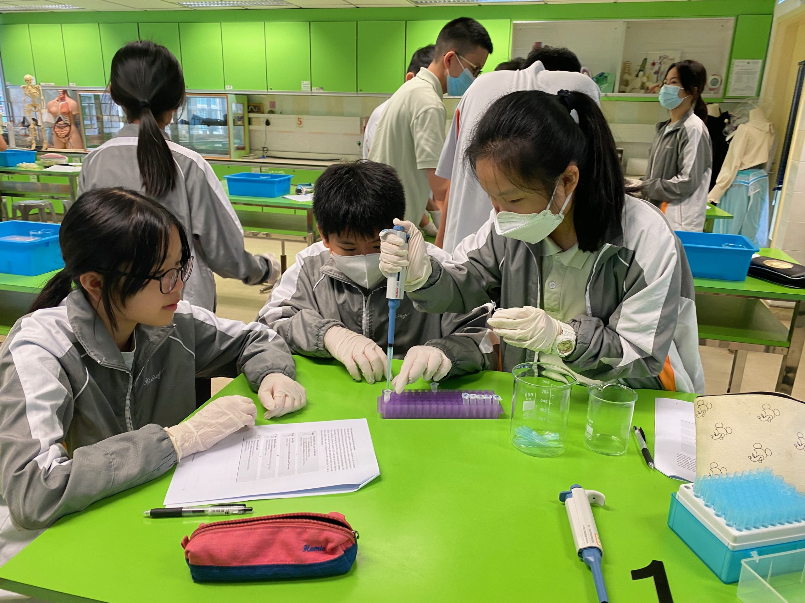 Interdisciplinary STEM Project-based Learning in Synthetic Biology – Teaching Curriculum